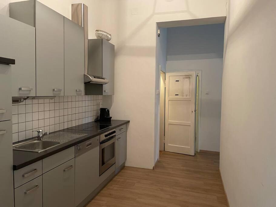 Geraeumige Altbauwohnung Im Zentrum Graz Extérieur photo