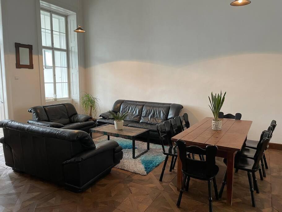 Geraeumige Altbauwohnung Im Zentrum Graz Extérieur photo